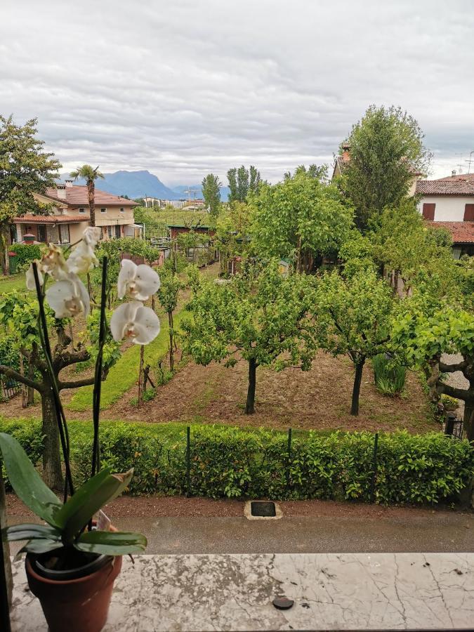 B&B Lamagia Di Corte Moronati 西尔米奥奈 外观 照片
