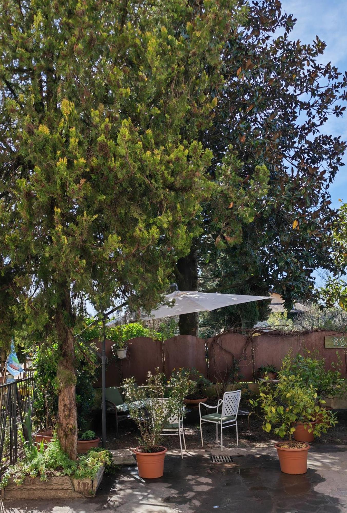 B&B Lamagia Di Corte Moronati 西尔米奥奈 外观 照片