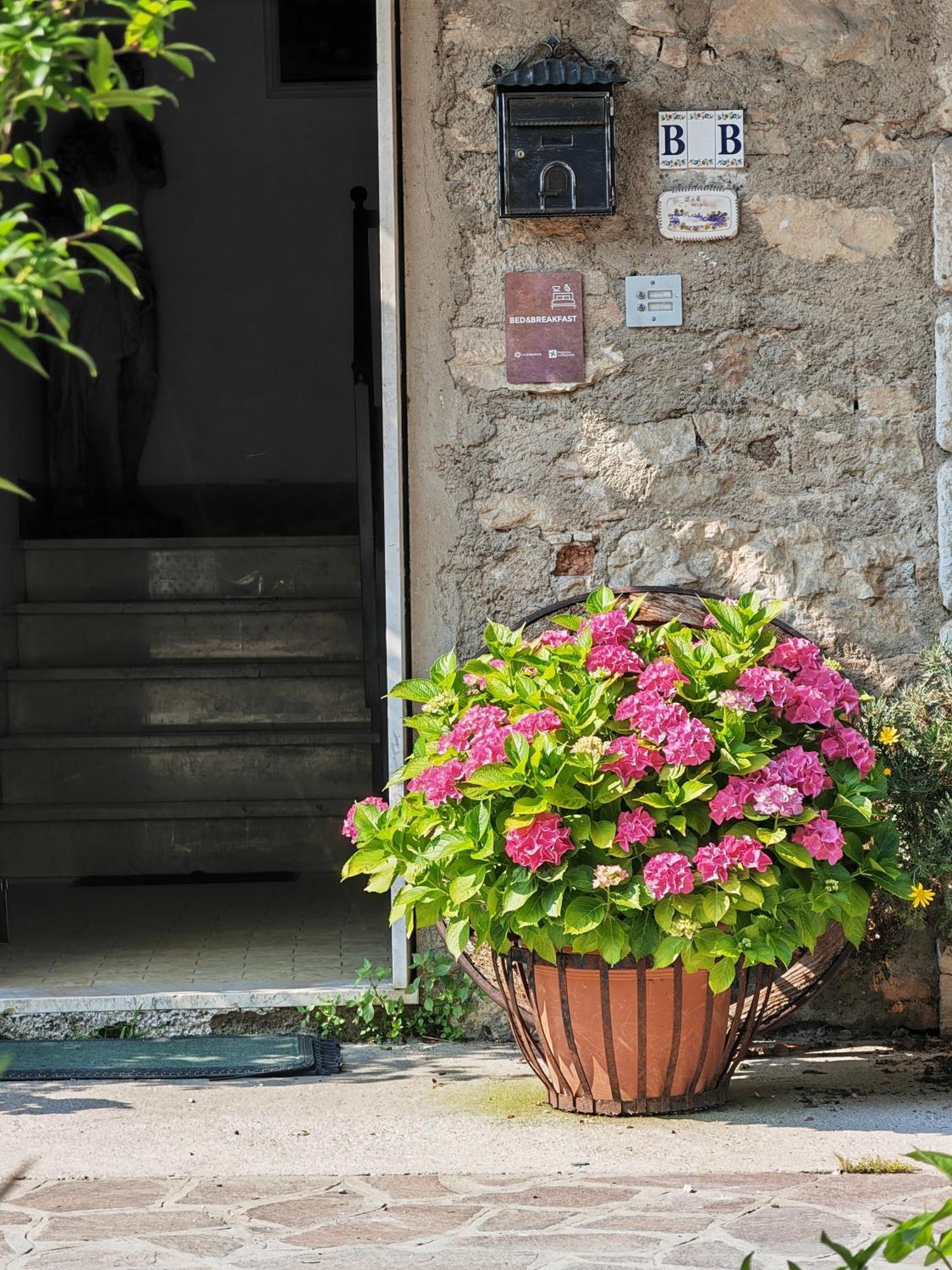 B&B Lamagia Di Corte Moronati 西尔米奥奈 外观 照片